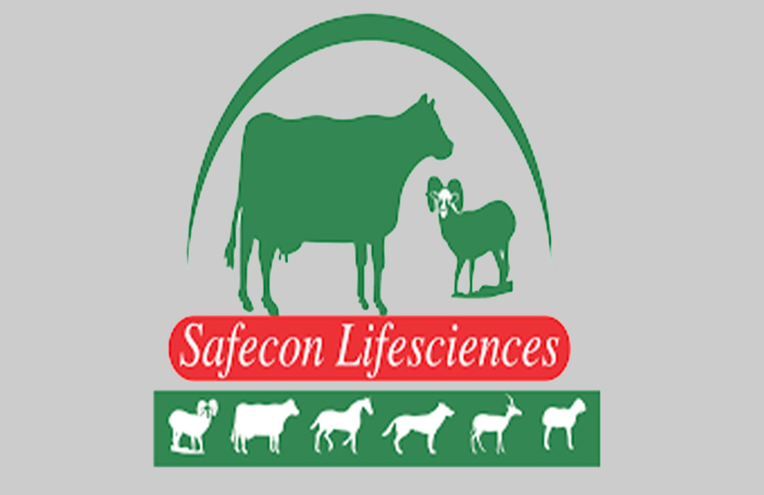 safecon-mona-power